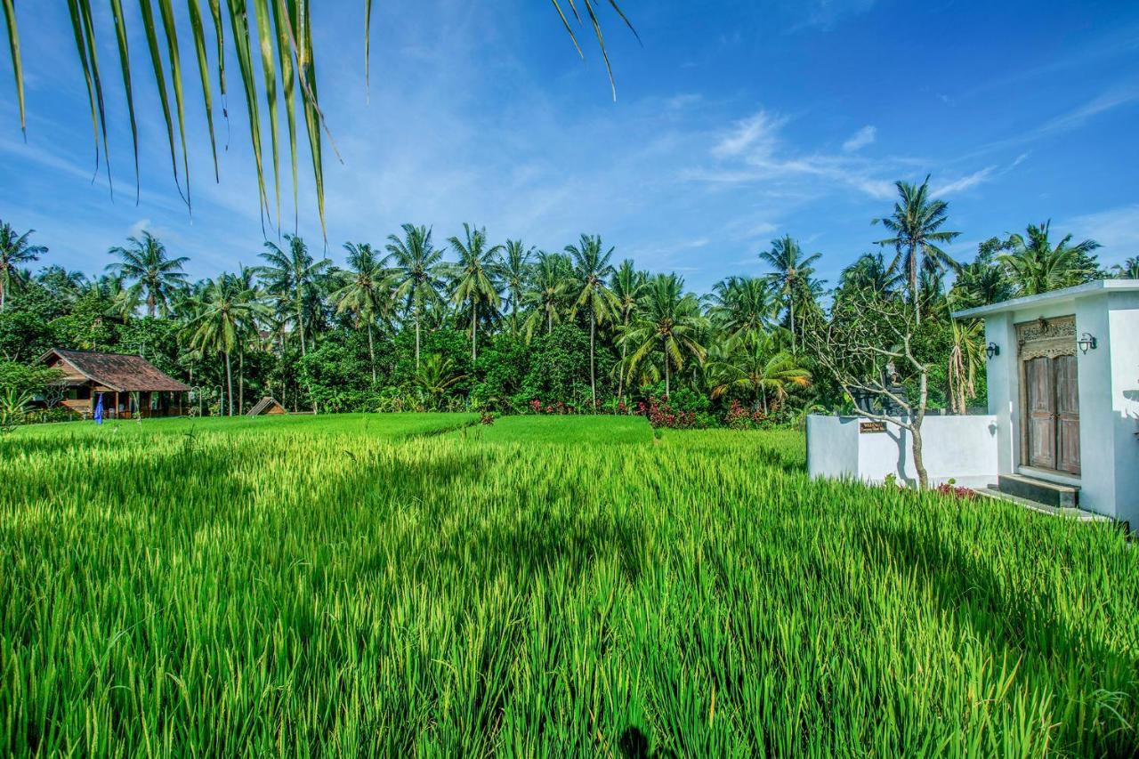 Tamyang Ubud Villas Екстериор снимка